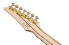 Ibanez K7YANG -KORN Head New Signature 7 String Model【ローン金利0%】【オンラインストア限定】_9