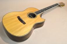 Roy Noble HC-100 Special-45　2001年製_2