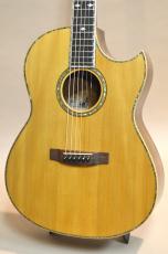Roy Noble HC-100 Special-45　2001年製_5