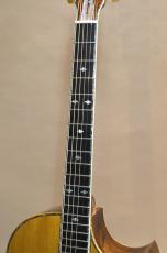 Roy Noble HC-100 Special-45　2001年製_6