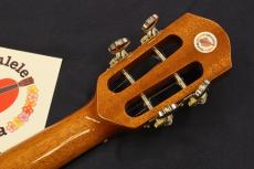 aNueNue aNN-UC100 Bird Sitka Spruce Top Mahogany Concert with Shell Inlay Rosette Ukulele #5554_8