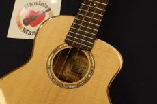 aNueNue aNN-UC100 Bird Sitka Spruce Top Mahogany Concert with Shell Inlay Rosette Ukulele #5554_3