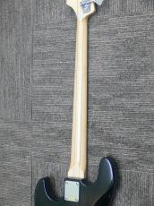 Bacchus WJB-BP/Act BK-Burst_8