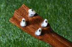 tkitki ukulele ECO-C Quince Concert【S/N 1679】_6