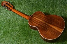 aNueNue AAA3 Tenor_4