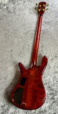 Spector USA NS-4 Quilt Mape Top - Black Cherry High Gloss -【4.39kg】_6