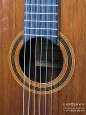 Daniel Friedrich ダニエル・フレドリッシュ 1976年製 松・ローズウッド 【日本総本店2F在庫品】_2