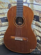 Daniel Friedrich ダニエル・フレドリッシュ 1976年製 松・ローズウッド 【日本総本店2F在庫品】_3