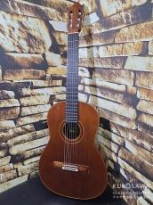 Daniel Friedrich ダニエル・フレドリッシュ 1976年製 松・ローズウッド 【日本総本店2F在庫品】_4