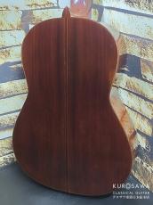 Daniel Friedrich ダニエル・フレドリッシュ 1976年製 松・ローズウッド 【日本総本店2F在庫品】_6