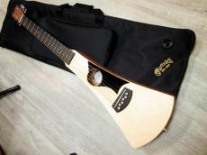 Martin BACKPACKER 専用ケース　　　マーチン　バックパッカー　GIGケース_2