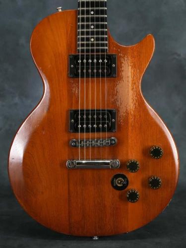 Gibson 1979 The Paul