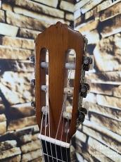 Domingo Esteso ドミンゴ・エステソ 1927年製 松・シープレス 【日本総本店2F 在庫品】_5