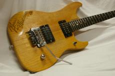 Washburn N4E-SANM_2