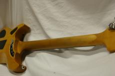 Washburn N4E-SANM_5