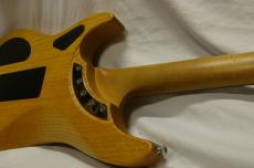 Washburn N4E-SANM_6