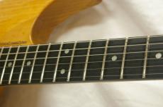 Washburn N4E-SANM_9