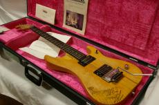 Washburn N4E-SANM_10