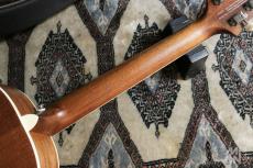 Paul Reed Smith [PRS] Limited SE P20E Pink Lotus w/Electric 2021_7