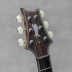 Paul Reed Smith [PRS] Private Stock Violin II Brazilian Rosewood Neck & FB / 2014_9