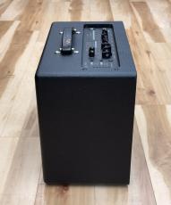VOX VT20X_5