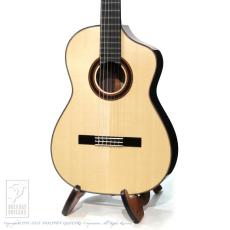 ASTURIAS(アストリアス)の検索結果1～50件【楽器検索｜Jギター】