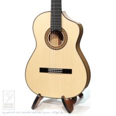 ASTURIAS(アストリアス)の検索結果1～50件【楽器検索｜Jギター】