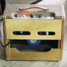 Fender Princeton 5F2-A Tweed_5