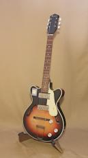 Demian (Fujigen) Full Acoustic Model