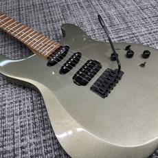FERNANDES APG-65S_5