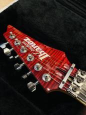 Ibanez J.Custom RG8670 _6