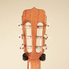 Jose Ramirez [ホセ・ラミレス] Estudio 140 CWE Cedar_10