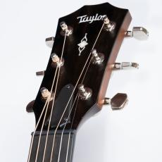 Taylor 314ce SEdition_4