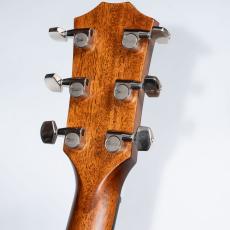 Taylor 314ce SEdition_5