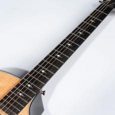 Taylor 314ce SEdition_7