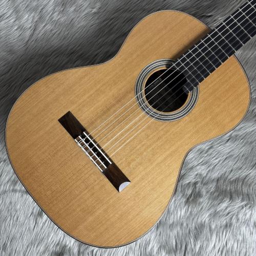 ASTURIAS DOUBLE TOP 杉/ハカランダ【ダブルトップ】