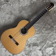 ASTURIAS DOUBLE TOP 杉/ハカランダ【ダブルトップ】_2