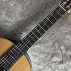 ASTURIAS DOUBLE TOP 杉/ハカランダ【ダブルトップ】_4