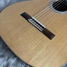 ASTURIAS DOUBLE TOP 杉/ハカランダ【ダブルトップ】_8