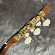 ASTURIAS DOUBLE TOP 杉/ハカランダ【ダブルトップ】_9