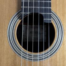 ASTURIAS DOUBLE TOP 杉/ハカランダ【ダブルトップ】_10