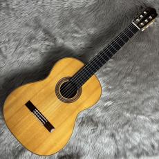 ASTURIAS S-2　松/ローズ【USED】_2