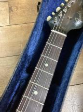 Fender Coronado_5