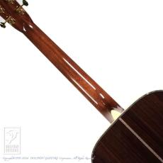 Martin D-45_6