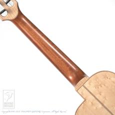 TODA Guitars VT5-CW (Engelmann Spruce / Birdseye Maple)_6