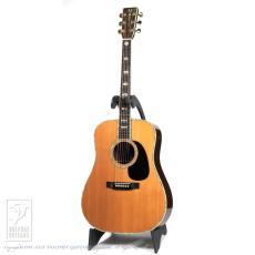 Martin D-45_2