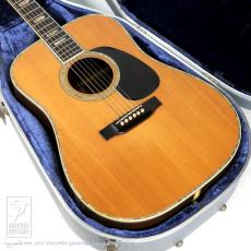 Martin D-45_15