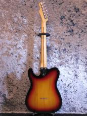 Fender Telecaster Custom '74 SB/M_2