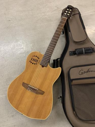Godin Multiac Nylon Duet エレガット!ピエゾ+コンデンサ マイク!