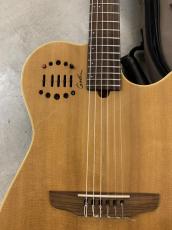 Godin Multiac Nylon Duet エレガット!ピエゾ+コンデンサ マイク!_3